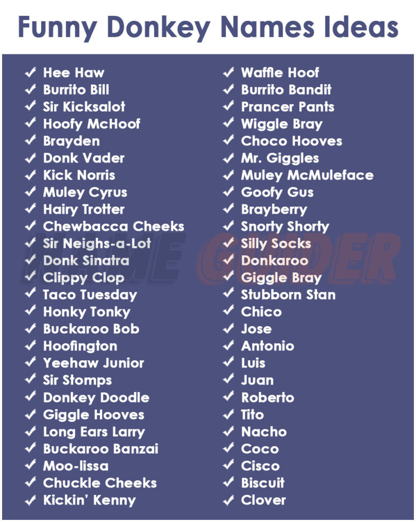 Funny Donkey Names Ideas