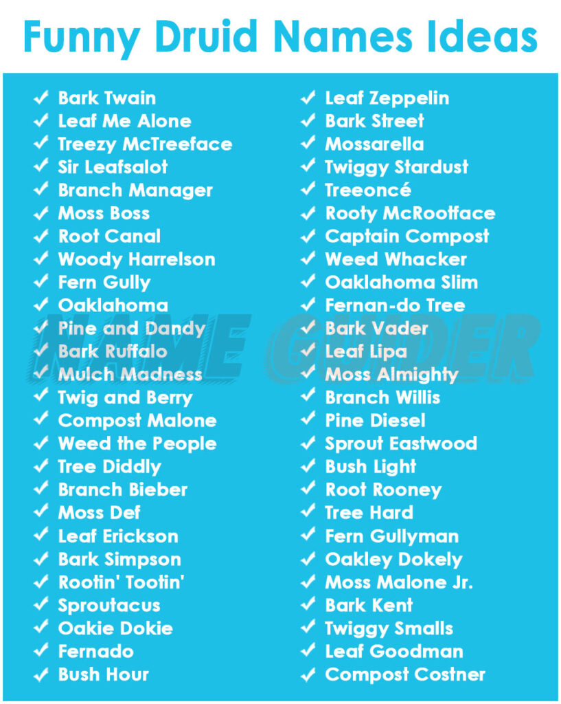 Funny Druid Names Ideas