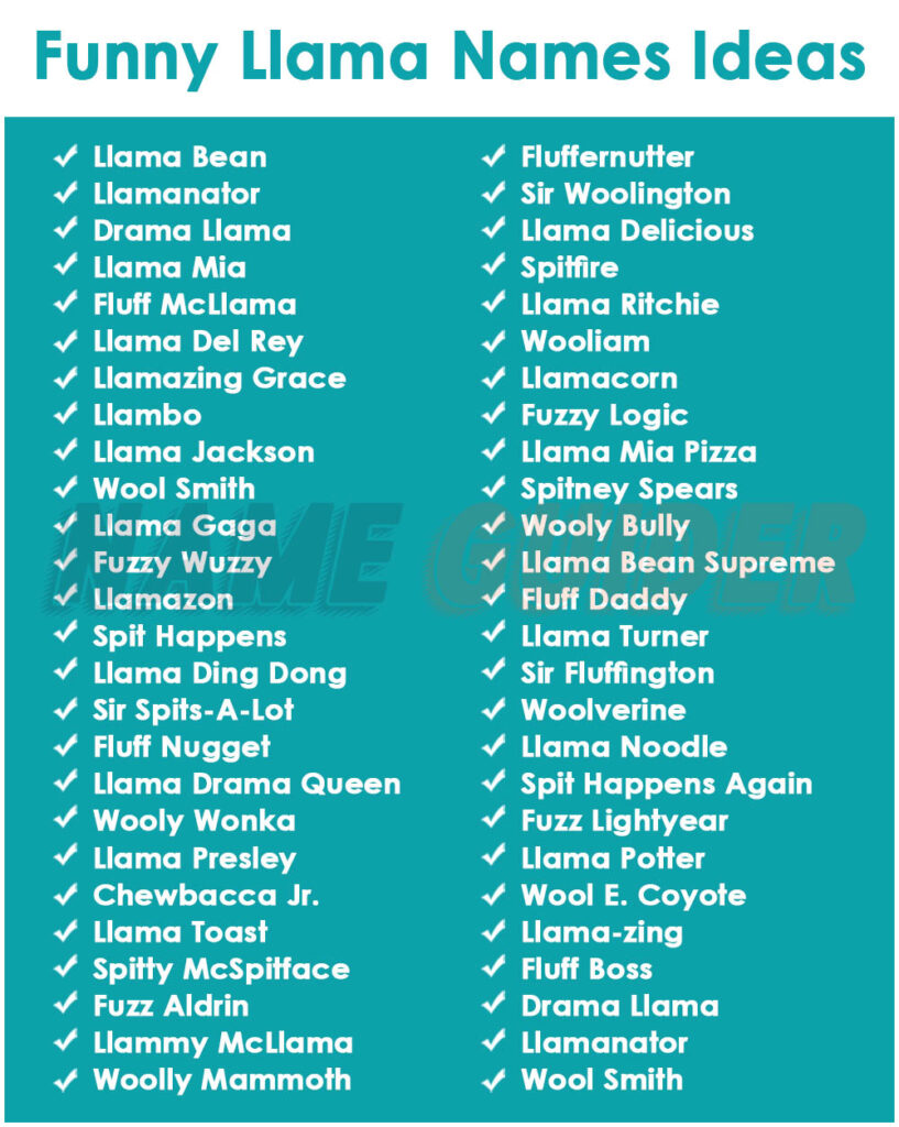Funny Llama Names Ideas​