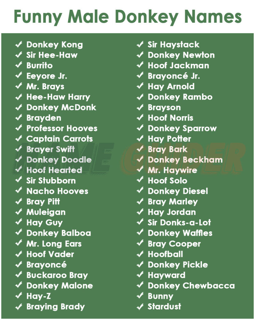 Funny Male Donkey Names