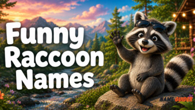 Funny Raccoon Names Ideas​ and Suggestions