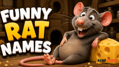 Funny Rat Names