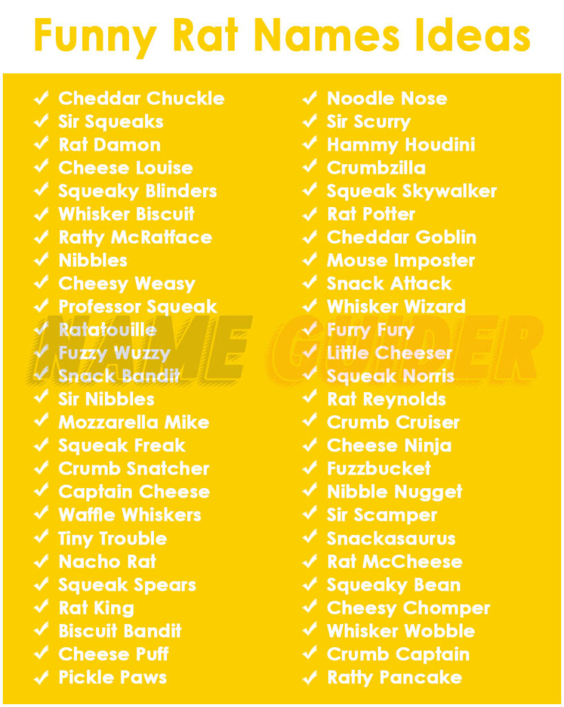 Funny Rat Names Ideas