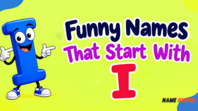 Funny Names That Start With I