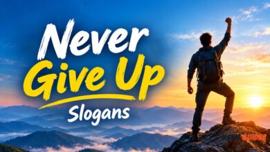 Never Give Up Slogans