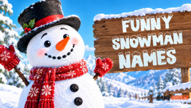 Funny Snowman Names Ideas and Suggestions